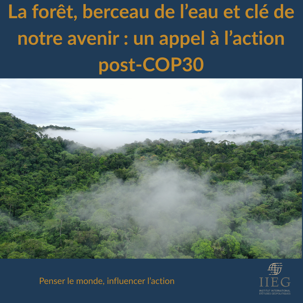 “Vue aérienne d’une forêt tropicale dense avec de la brume d’évapotranspiration s’élevant au-dessus de la canopée, illustrant le rôle des arbres dans le cycle de l’eau.”