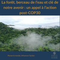 “Vue aérienne d’une forêt tropicale dense avec de la brume d’évapotranspiration s’élevant au-dessus de la canopée, illustrant le rôle des arbres dans le cycle de l’eau.”